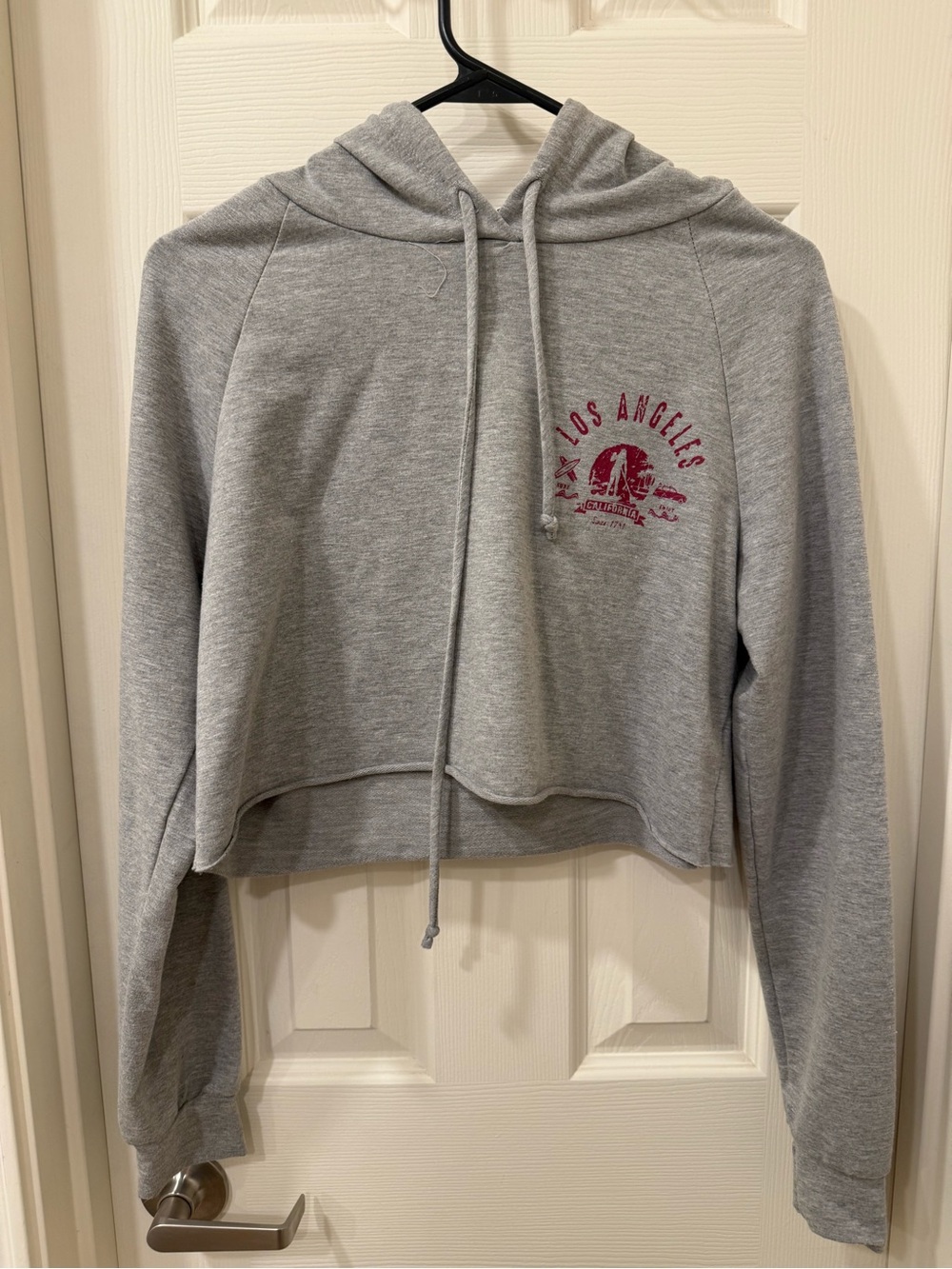 Graphic Cropped Hoodie Sweater - Gray